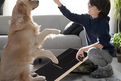 Dog Scratch Pad for Nails Scratching Board with Treat Box - view 4