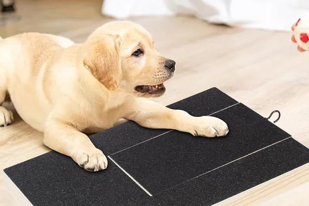 Dog Scratch Pad for Nails Scratching Board with Treat Box - view 5