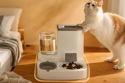 2 in 1 Automatic Cat Feeder and Waterer Ceramic Pet Bowl for Cats and Small Dogs - view 7