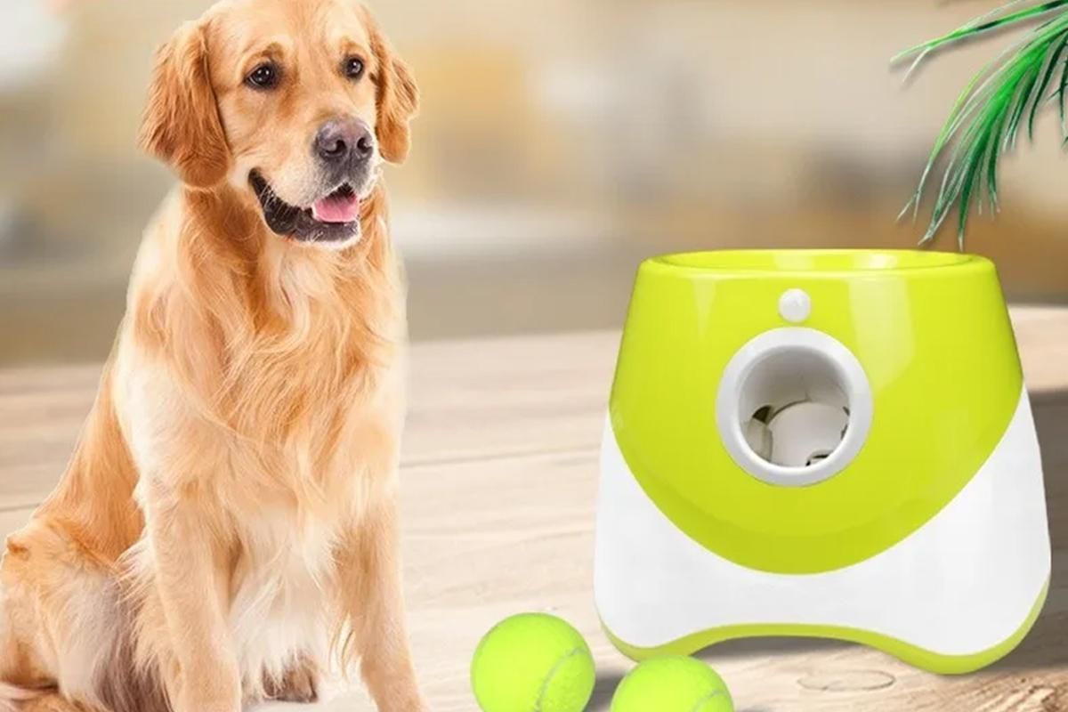Dog Ball Launcher Thrower Automatic Tennis Fetch Throwing Machine with 3 Balls -Light Green - view 3