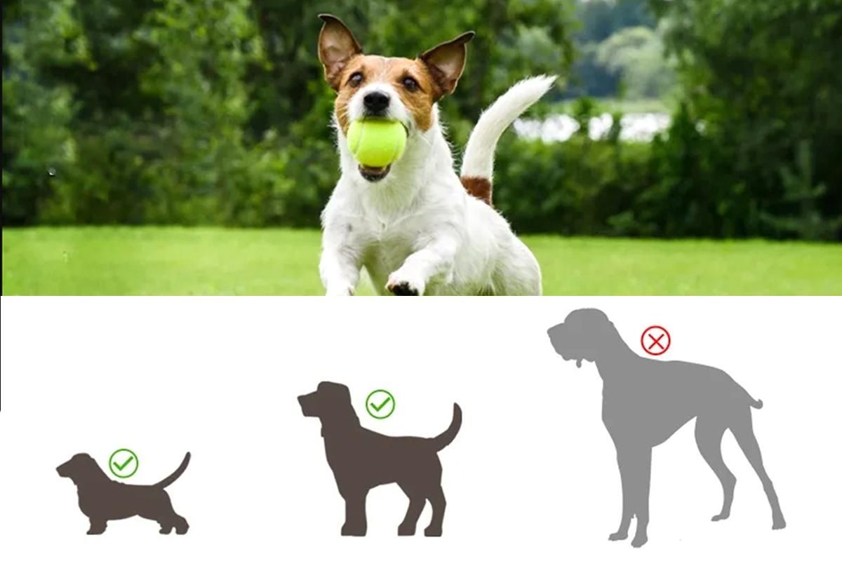 Dog Ball Launcher Thrower Automatic Tennis Fetch Throwing Machine with 3 Balls -Light Green - view 4