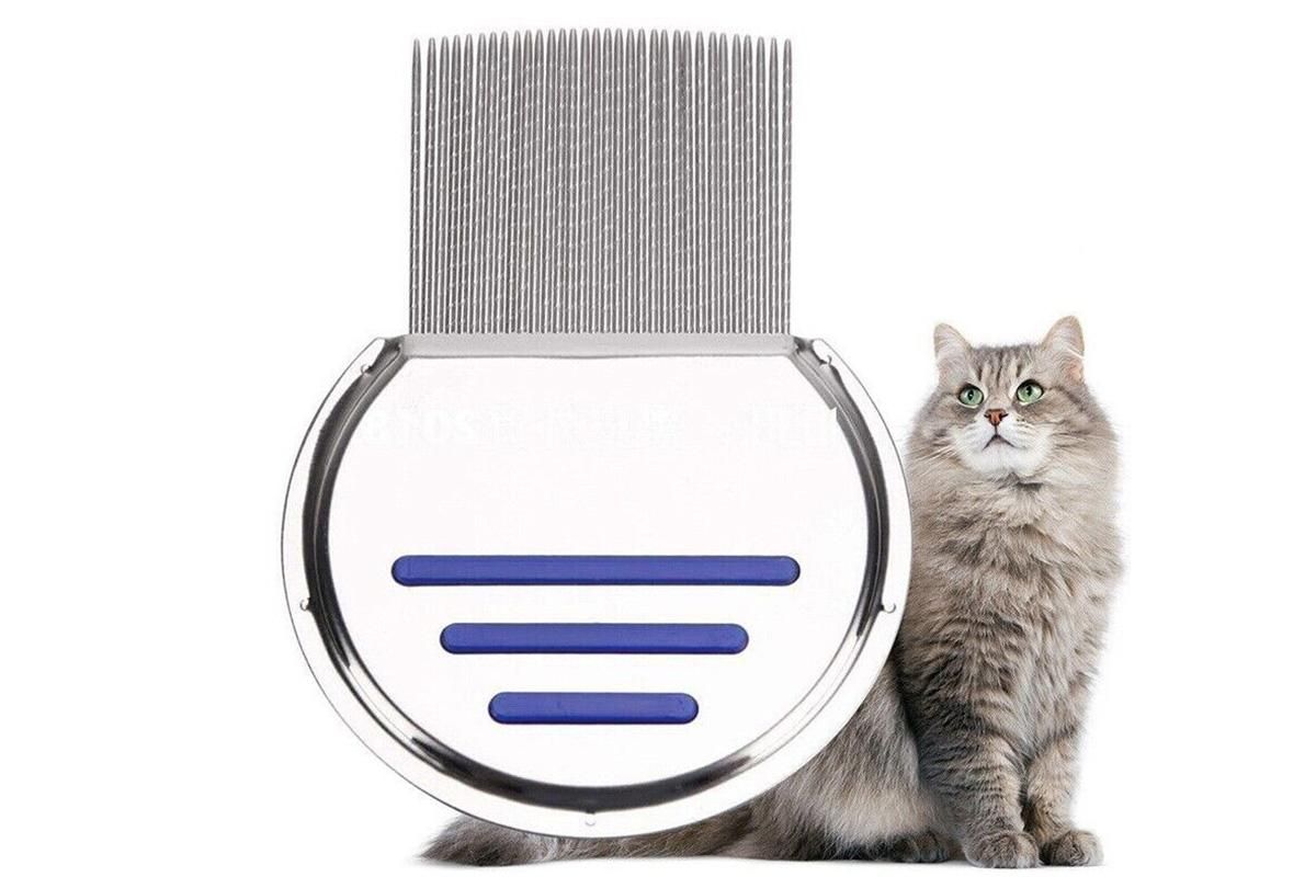 Stainless Steel Pet Flea Comb Fine Tooth Grooming Tool for Dogs Cats - Blue - view 6