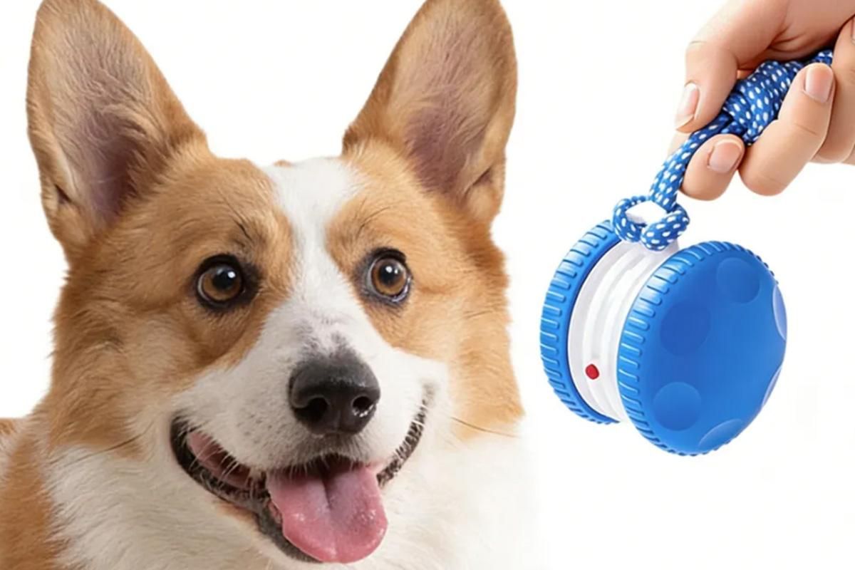Interactive Pet Rolling Ball Toy Rechargeable Automatic Play Ball for Cats and Dogs - Blue - view 3