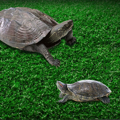 Turtle Basking Platform Simulation Grass Turtle Ramp for Fish Tank Aquarium - S - view 4