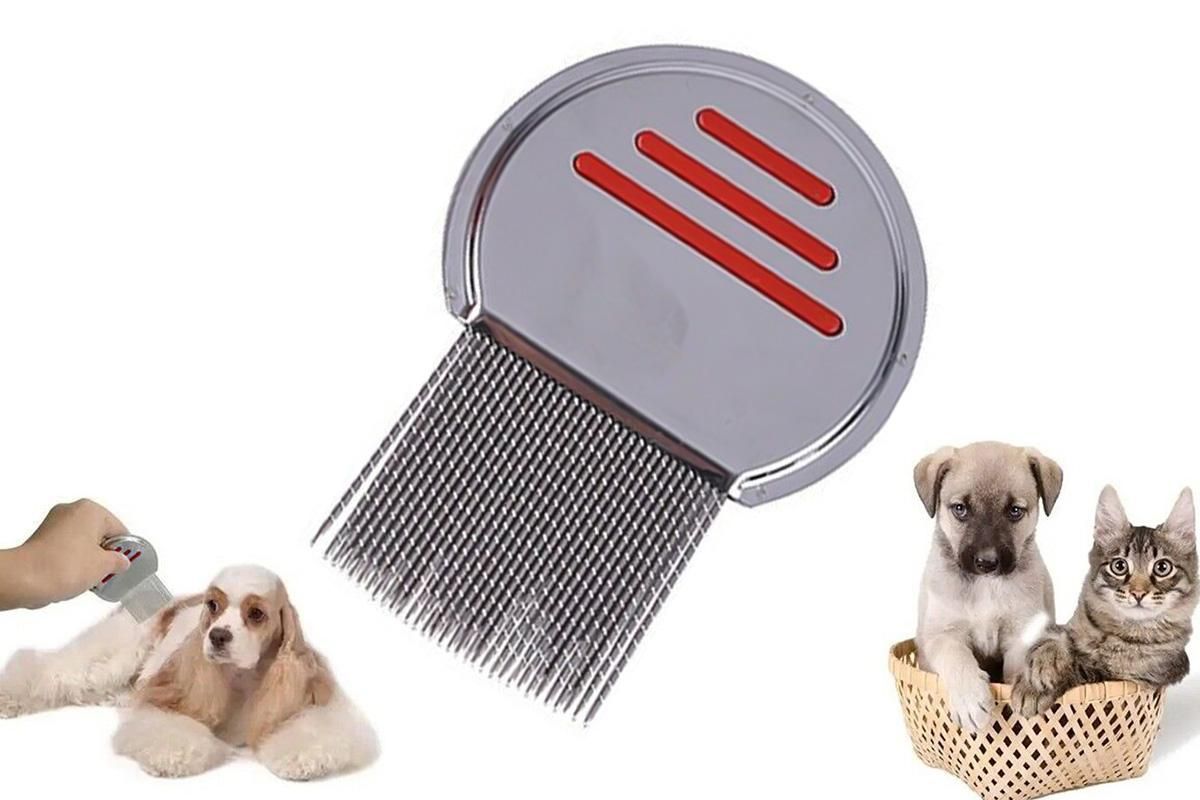 Stainless Steel Pet Flea Comb Fine Tooth Grooming Tool Red - view 8