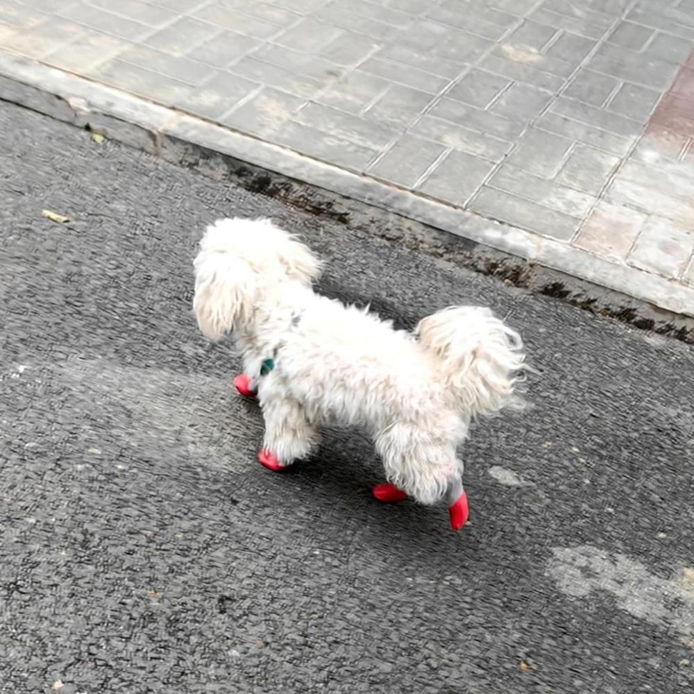 Waterproof Anti Slip Pet Shoes with Rubber Sole for Indoor and Outdoor Use Red - XL - view 5