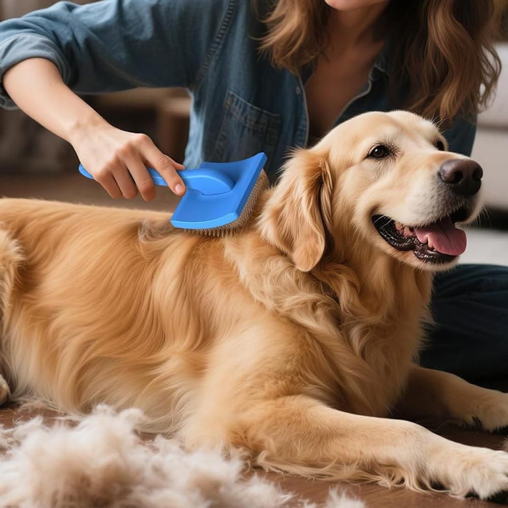 2-Piece Dog Slicker Brush & Comb Set for Grooming & Detangling Blue - view 2