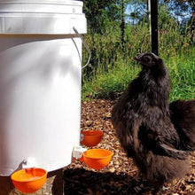 5Pcs Automatic Chicken Waterer Cups Water Feeder for Chicks Duck Goose Orange - view 2