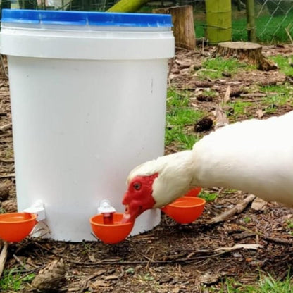 5Pcs Automatic Chicken Waterer Cups Water Feeder for Chicks Duck Goose Orange - view 3