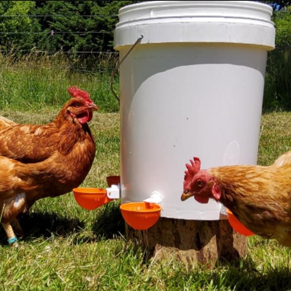 5Pcs Automatic Chicken Waterer Cups Water Feeder for Chicks Duck Goose Orange - view 4