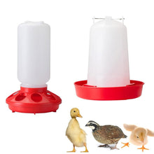 1L Chick Food Feeder and 1.5L Chicken Water Feeder Kit for Chick Aviaries