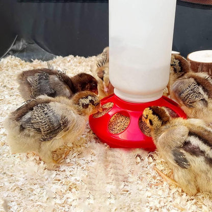 1L Chick Food Feeder and 1.5L Chicken Water Feeder Kit for Chick Aviaries - view 3