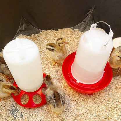 1L Chick Food Feeder and 1.5L Chicken Water Feeder Kit for Chick Aviaries - view 4