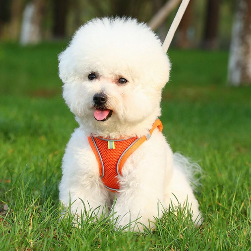 Pet Cat Harness and Leash Set Breathable Vest with Reflective Strip for Kitten Walking Traveling Orange - S - view 2
