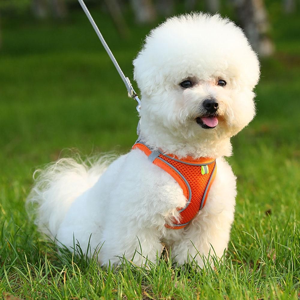 Pet Cat Harness and Leash Set Breathable Vest with Reflective Strip for Kitten Walking Traveling Orange - S - view 3
