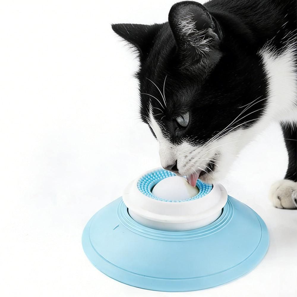 2PCS Non-Slip Slow Feeder Bowl for Dogs & Cats - view 4