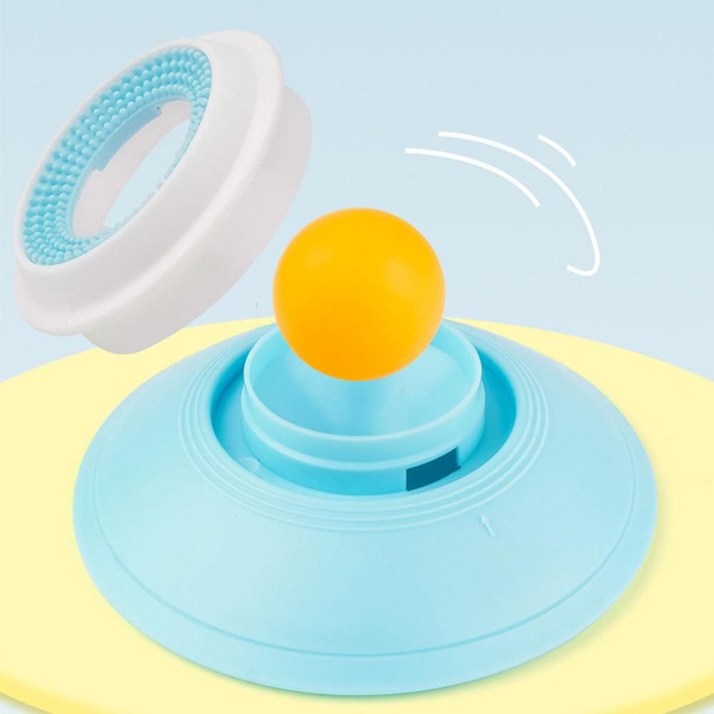 2PCS Non-Slip Slow Feeder Bowl for Dogs & Cats - view 8