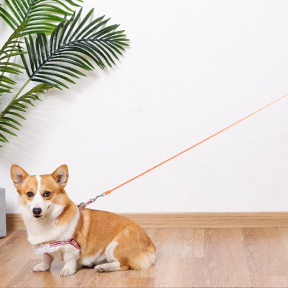 5M RGB Light Pet Leads Retractable Traction Rope Pet Cat Dog Leash Orange - view 3