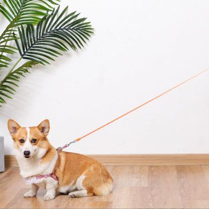 5M RGB Light Pet Leads Retractable Traction Rope Pet Cat Dog Leash Orange - view 3