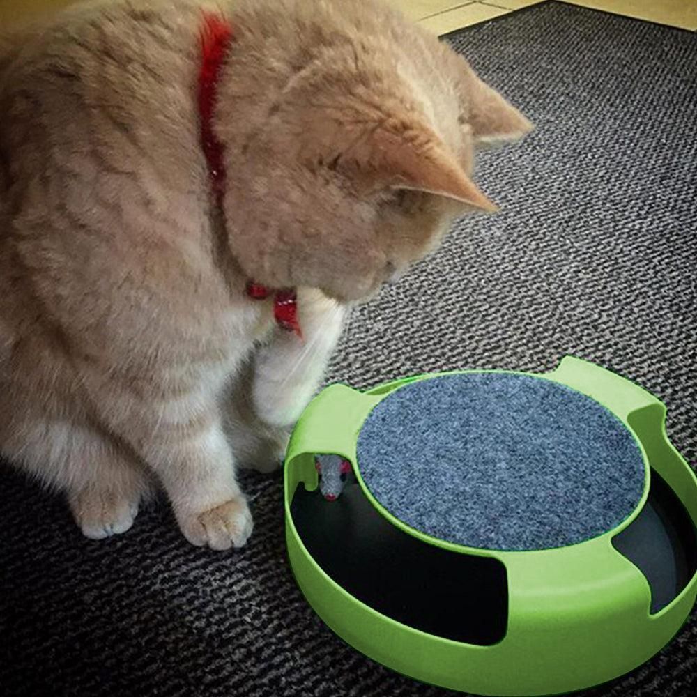 Pet Cat Catch Mouse Interactive Toy Cat Scratch Board Toy with Felt Scratching Claw Mat - view 5