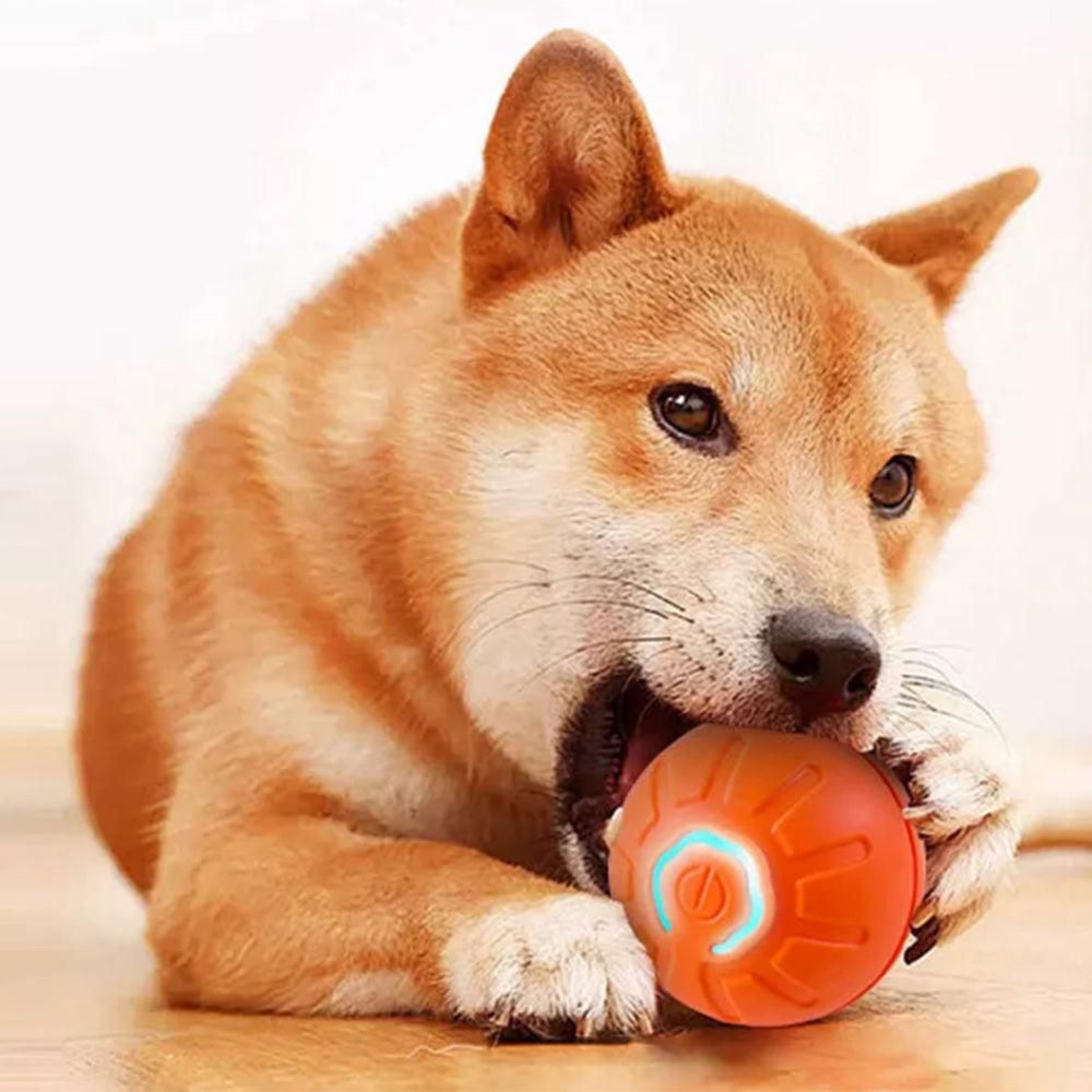 2Pcs 4.5CM Automatic Moving Ball Toy for Cats USB Rechargeable Interactive Vibrating Cat Toy - view 5