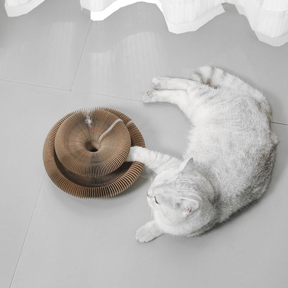 Organ Cat Toy Transformable Interactive Cardboard Toy with Track and Bell Ball - view 3