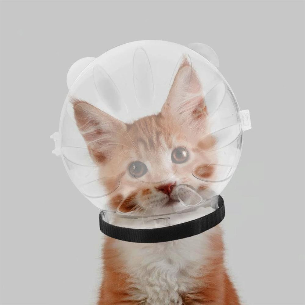 Transparent Cat Hood Astronaut Helmet Muzzle Mask Preventing Biting and Licking - Small - view 3