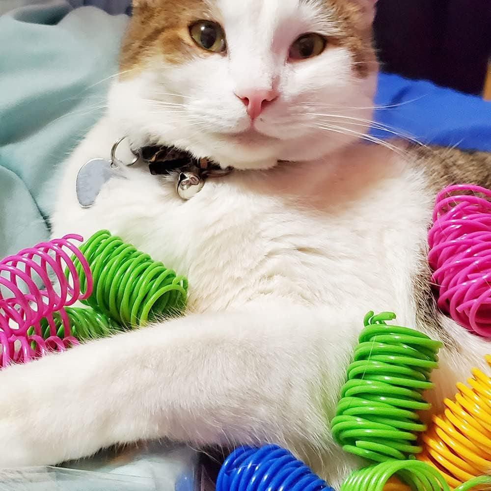 40Pcs Cat Spring Toys Colorful Cat Spiral Bouncy Toys Interactive Toys for Cats and Kittens - view 5