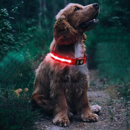 Luminous LED Pet Dog Collar Light-up USB Rechargeable Dog Collar Red - L - view 2