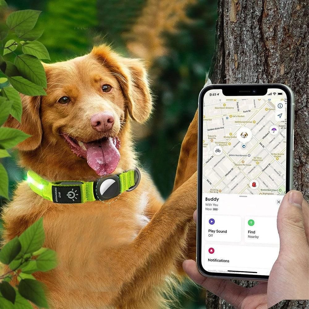 Luminous LED Pet Dog Collar Light-up USB Rechargeable Dog Collar Green - L - view 2