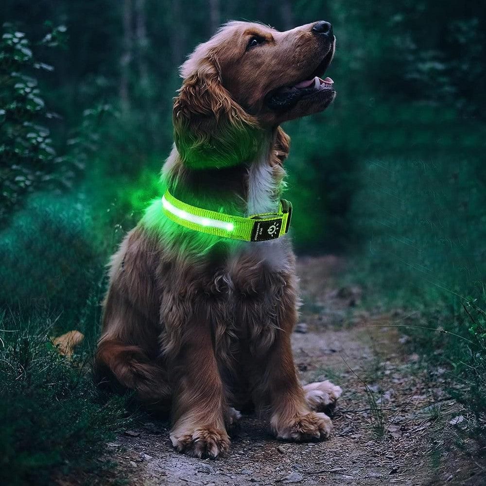 Luminous LED Pet Dog Collar Light-up USB Rechargeable Dog Collar Green - L - view 3