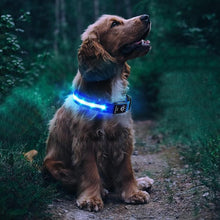 Luminous LED Pet Dog Collar Light-up USB Rechargeable Dog Collar Blue - L - view 2