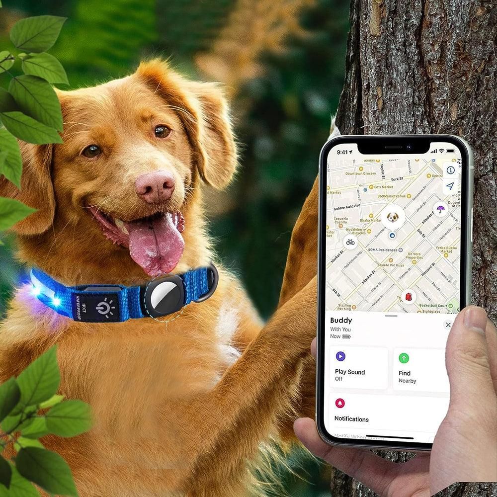 Luminous LED Pet Dog Collar Light-up USB Rechargeable Dog Collar Blue - L - view 3