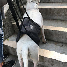 Pet Dog Support Harness Walking Vest Dog Sling Support Sling Gray - S