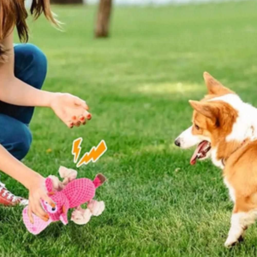 Dog Toys for Aggressive Chewers - Squeaky Toys to Keep Dogs Busy Style 2 - view 2