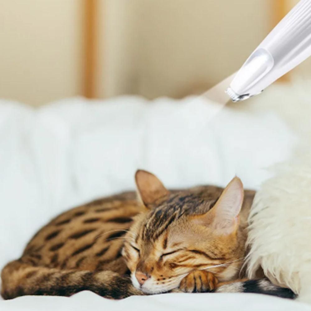 Dog Paw Trimmer with LED Light Rechargeable Pet Hair Clippers for Small Dogs Cats White - view 5