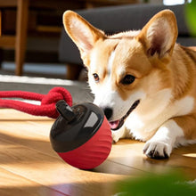 Squeaky Rolling Ball Dog Toy - Interactive Motion-Activated Chew Toy for Dogs Red - view 2