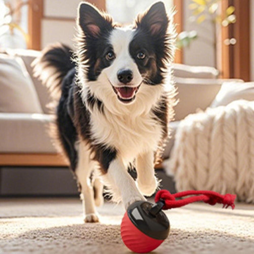 Squeaky Rolling Ball Dog Toy - Interactive Motion-Activated Chew Toy for Dogs Red - view 7