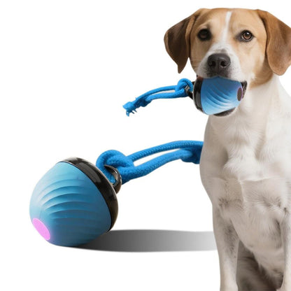 Squeaky Rolling Ball Dog Toy - Interactive Motion-Activated Chew Toy for Dogs Red - view 8