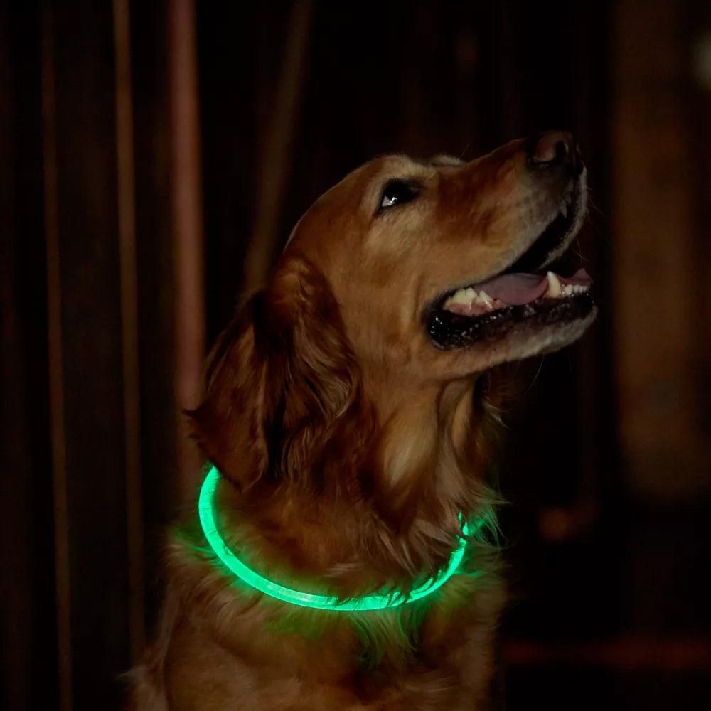 Light-Up Pet Dog Collars USB Rechargeable Pet Collar Adjustable Size Pet Collar Green - S - view 2