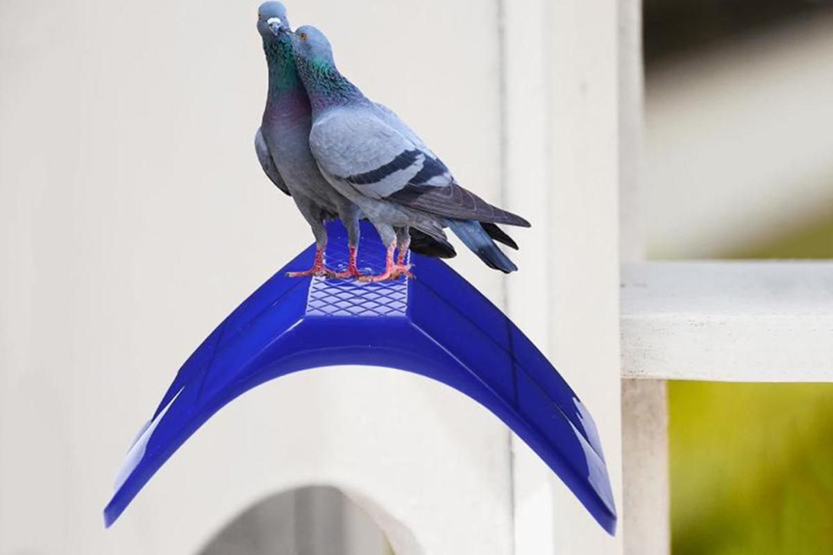 10 Pack Pigeon Dove Rest Stand Frame Dwelling Perches Roost Bird Supplies Set - view 4