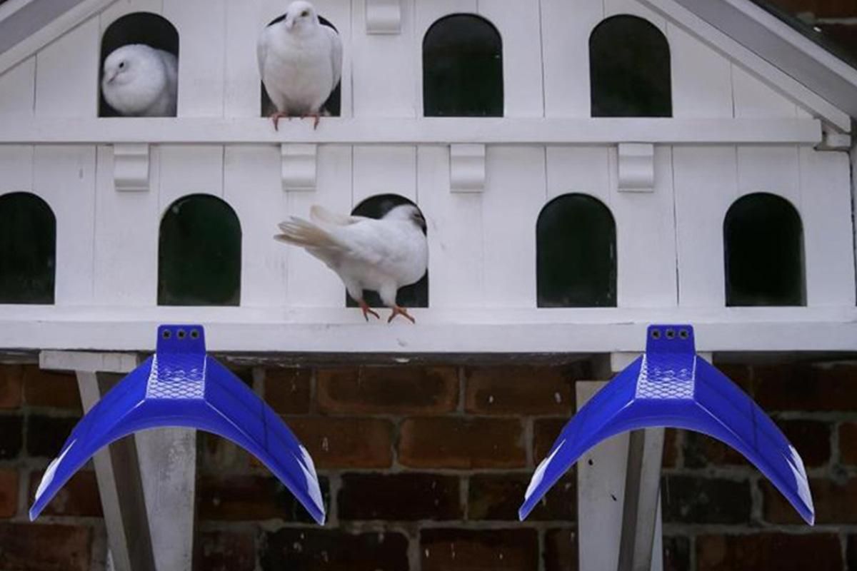 10 Pack Pigeon Dove Rest Stand Frame Dwelling Perches Roost Bird Supplies Set - view 5