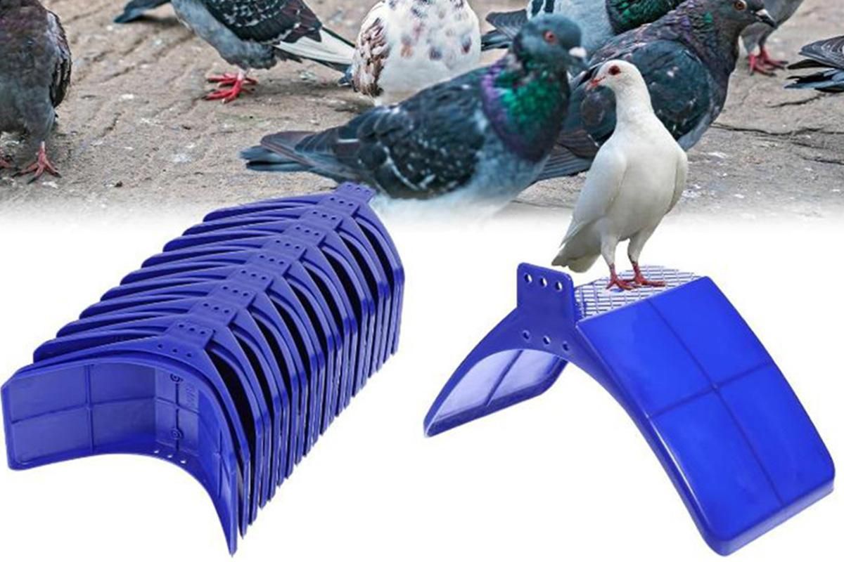 10 Pack Pigeon Dove Rest Stand Frame Dwelling Perches Roost Bird Supplies Set - view 6