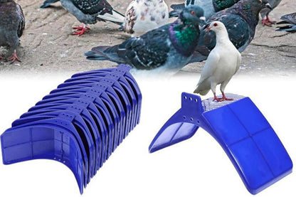 10 Pack Pigeon Dove Rest Stand Frame Dwelling Perches Roost Bird Supplies Set - view 6