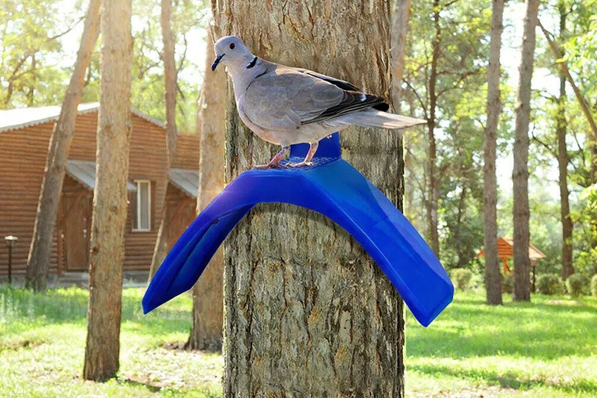10 Pack Pigeon Dove Rest Stand Frame Dwelling Perches Roost Bird Supplies Set - view 7
