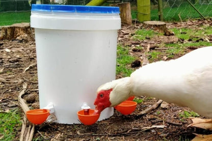 10Pcs Chicken Water Cup Feeder Automatic Drinking Bowl Poultry Cup-Orange - view 3