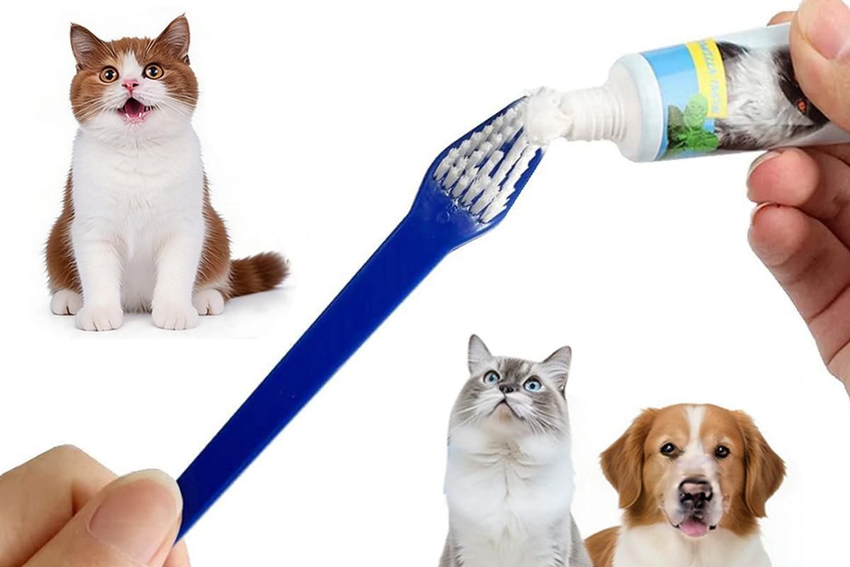 10 Pcs Pet Toothbrush Dual-End Long Handle for Dogs Cats - view 6