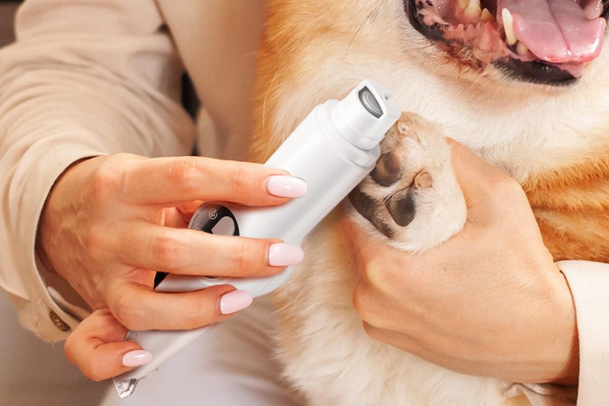 2 in 1 Pet Grooming Clippers with Nail Grinder and LED Display - view 6