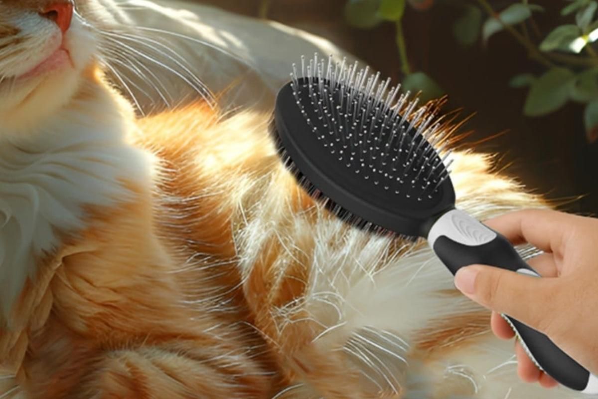 2 Pack Pet Grooming Brush Set Deshedding Double Sided Comb Massage Brush-Black - view 5