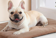 2Pcs Pet Blanket Self-Heating Bed Pad Cat Dog Self-Warming Cushion-Khaki S - view 2